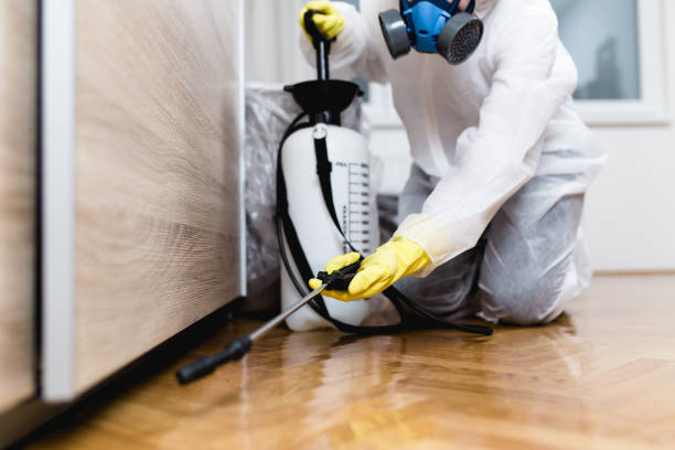 Best Emergency Pest Control  in Shadybrook, TX