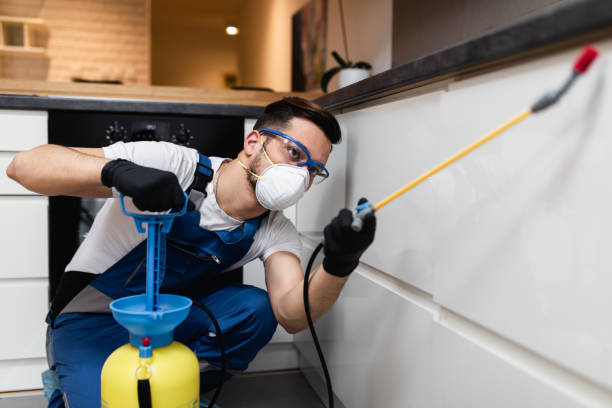Best Pest Removal Services  in Shadybrook, TX