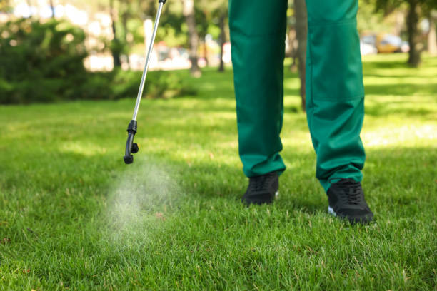 Best Exterminator Services  in Shadybrook, TX