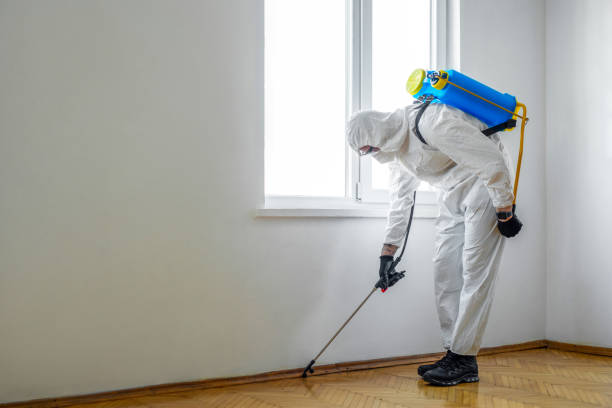Best Best Pest Control Companies  in Shadybrook, TX