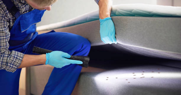Best Commercial Pest Control Services  in Shadybrook, TX
